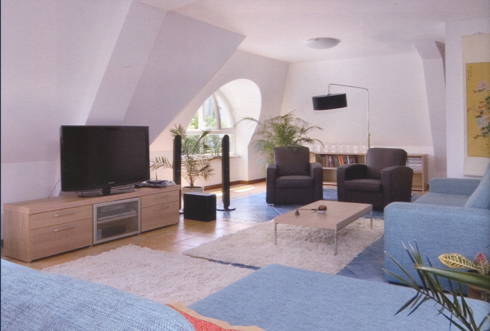 RESIDENCE OF THE AMBASSADOR OF IRELAND IN SOFIA - detailed image 5